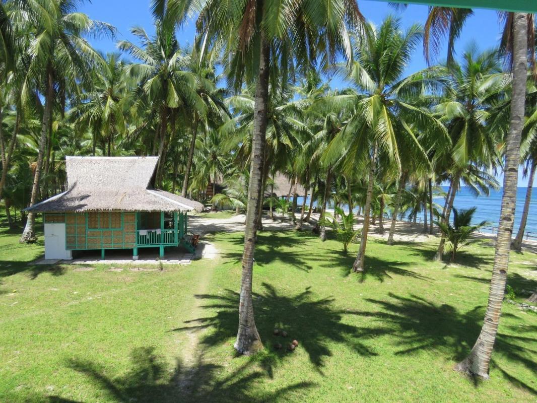 Pacifico Bigwish Beach Resort San Isidro  المظهر الخارجي الصورة