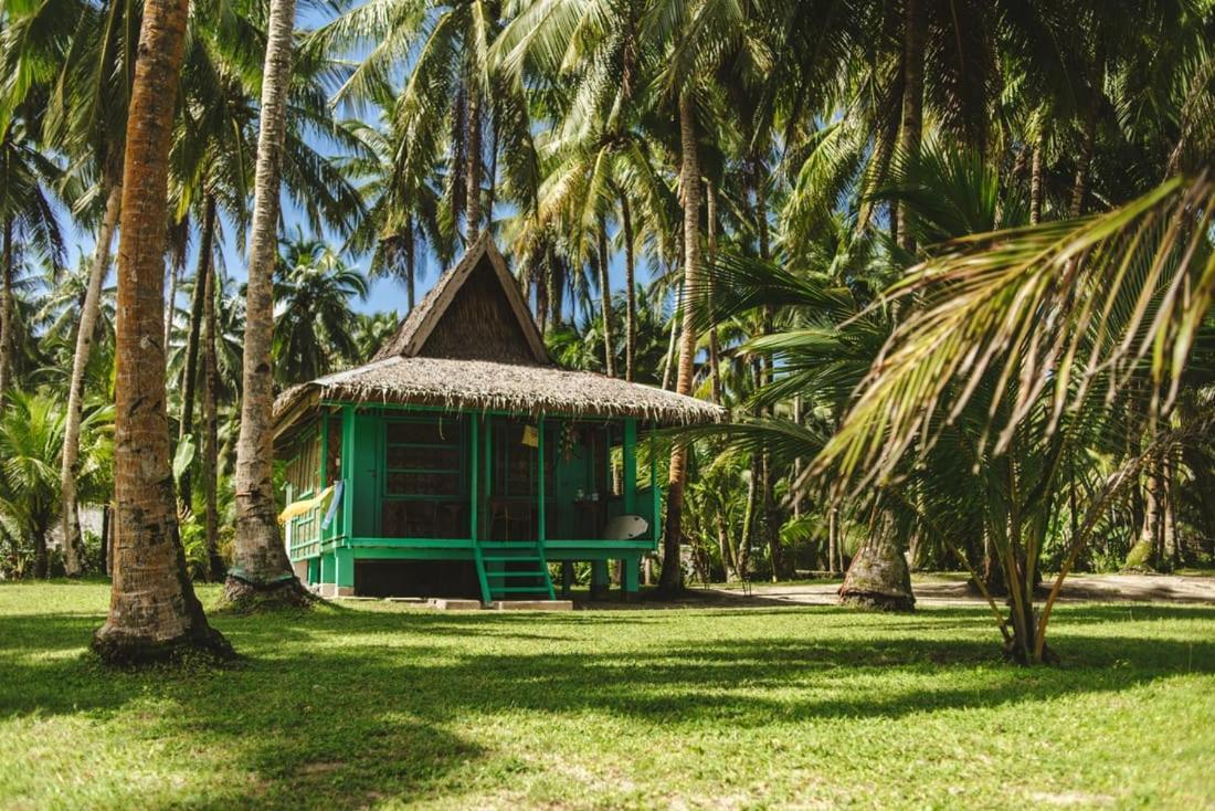 Pacifico Bigwish Beach Resort San Isidro  المظهر الخارجي الصورة